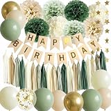 6 Best Birthday Party Decorations (October 2026) Top Reviews